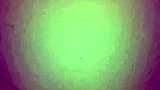 my colombian milf gives an amazing blowjob 😍