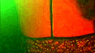 Sexy Horny Amateur Brunette Shows Off Big Ass And Tits In Homemade Video With Lots Of Action