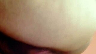 sundaydogood614 update 44 c360vid jan 29 2024