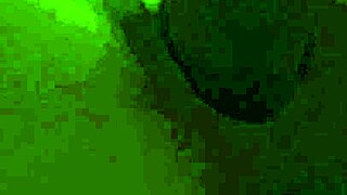 funny point of view webcam clip