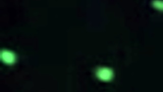 Garanhão Gay Sendo Passivo Pela Primeira Vez