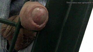 Ohhhh That Gate In Fucking Scene