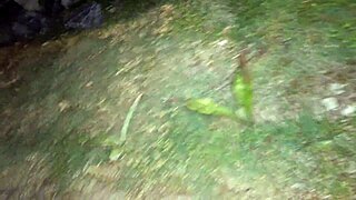 Fanny flashes her bare ass on the street without panties