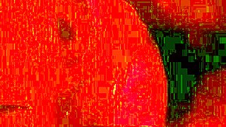 A young student learning from her tutor in a private session