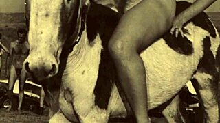 Have you seen beauty and the beast in retro doggystyle?