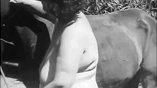 Have you seen beauty and the beast in retro doggystyle?