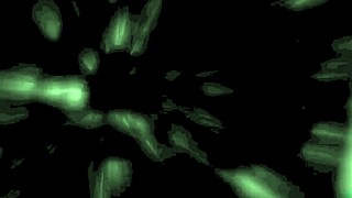 Have you seen beauty and the beast in retro doggystyle?