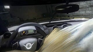 GTA 5 First Person Hooker Experience 2