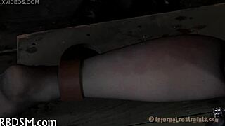 intense sadomasochism videos online