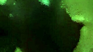 Bbc Jerking Off Monster Cock for Huge Cumshot