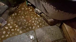 i got an amazing japanese massage in the bathroom, so cute