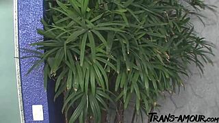 Είναι έτοιμος να πάρει αυτό το μεγάλο Λατίνα τρανς πούτσο χωρίς να κρατηθεί!