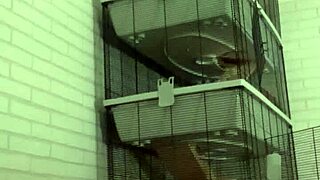 horny piss play on my sofa