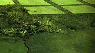 Teen Strips For Boyfriend In Bondage Play