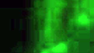 Wife Sucks Husband's Cock While Watching TV in Swung Film