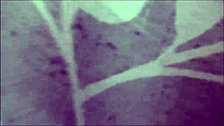 Big step sister and little 18+ step sister playtime with Lily Rader and Rikki Rumor in family therapy