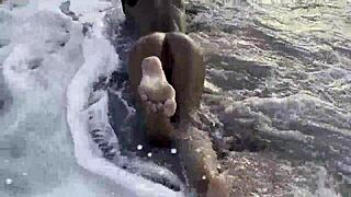 Monika Fox Swims In Atlantic Ocean And Poses Naked On A Public Beach Free