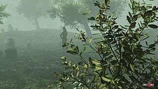 Feel The Mystery In This Huge Tall Forest Animation.