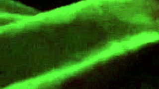 White Girl Sucking Big Black Cock