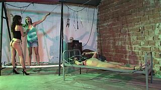 house of slaves of sex