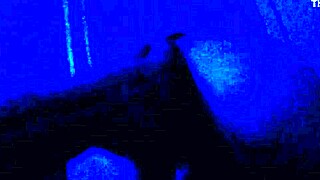 Girl Wants Intense Anal Fucking Fingering Leading to Orgasm