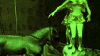 Vintage erotic illustration