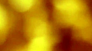 Hermosa Latina Prostitute In Gay Amateur Encounter