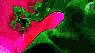 saw her at bus stop now she's sucking my dick 😏