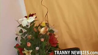 This shemale wants you to suck her big cock before she fucks your ass