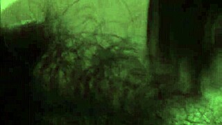 horny asian girlfriend gives sloppy blowjob in homemade close-up. her japanese skills leave me dripping with cum!