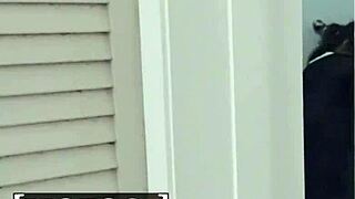 hey vina sky, need some cock for that nerdy ass outdoors?