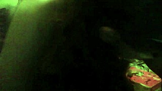 Liza Pet from Argentina Intrigues Fans