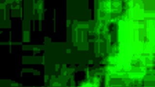 Liza Pet from Argentina Intrigues Fans