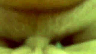 alineflavio shares update 151 on september 11 2024