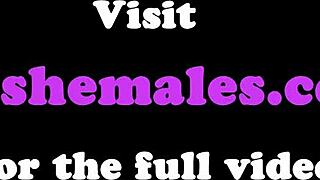 Questa shemale con occhiali cavalca cazzo in cowgirl inversa, tette grosse che rimbalzano a ogni spinta