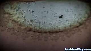 Beautiful babe has fun with her friends in a threesome with oral sex