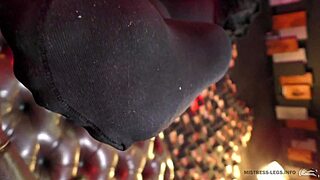 Close up of legs in black opaque pantyhose with kissing and sucking