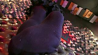 Close up of legs in black opaque pantyhose with kissing and sucking