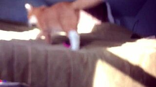 Trim B88f5d38-492a-4637-85dd-27c1b667800f Mov