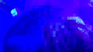 Trepadinha No Motel Com A Loirinha Safada