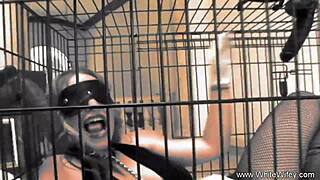 Blonde Milf's Intense Interracial Anal Sex