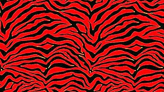 Big Booty Battle: Petite 18+ Vs Big Booty. Who Won?