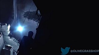 riley reid in cartoon blowjob animation hentai