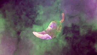 Put it deeper, I want more cock in my ass, fuck everything, oh I got cum on my tits