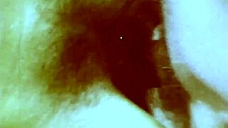 Wonderful World Of Vintage Pornography