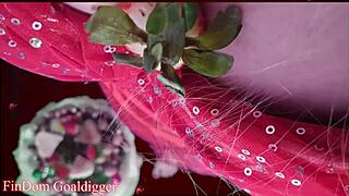 Food porn featuring financial domination with glasses