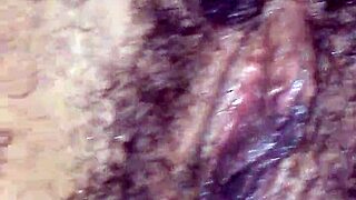 Sucking on that sweet hairy pussy now