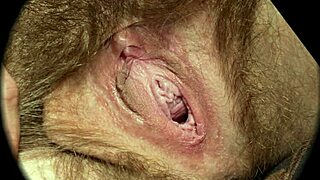 Close Up Hairy Pussy Sex