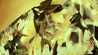 Novinha moans deliciously during homemade masturbation session parte 1