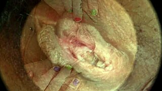 Close Up Hairy Pussy Sex